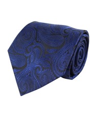 Microfiber Poly Woven Paisley Windsor Tie
