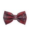 Classy Pre Tied Paisley Bow Tie and Hanky Set