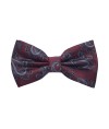 Classy Pre Tied Paisley Bow Tie and Hanky Set