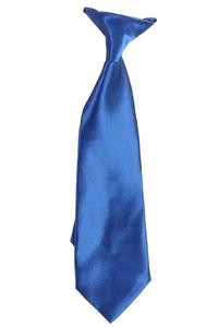Boy's Adjustable Pretied Neck Windsor Tie