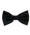 Paisley Print Bow Tie with Matching Pocket Square