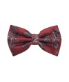 Classy Pre Tied Paisley Bow Tie and Hanky Set