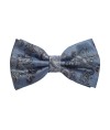 Classy Pre Tied Paisley Bow Tie and Hanky Set