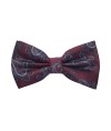 Classy Pre Tied Paisley Bow Tie and Hanky Set