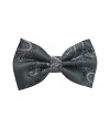 Classy Pre Tied Paisley Bow Tie and Hanky Set