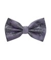 Classy Pre Tied Paisley Bow Tie and Hanky Set